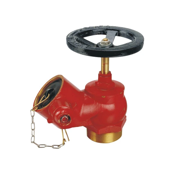Injap Hydrant Oblique BSP